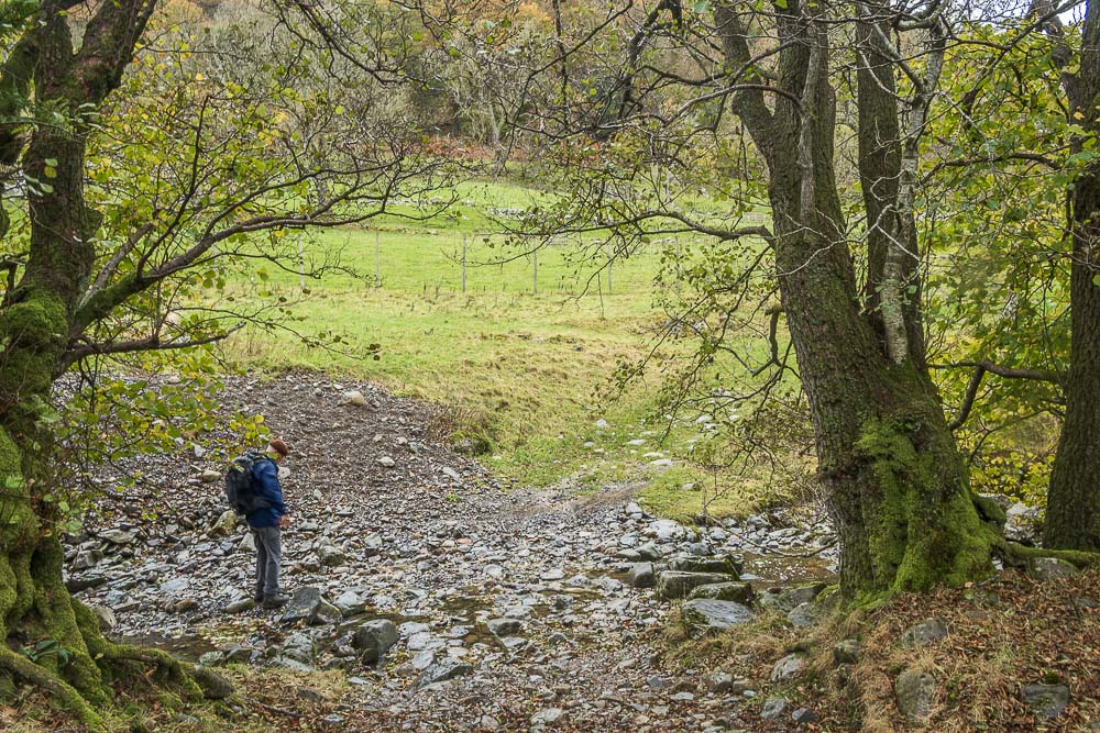 Naddle Beck